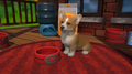 Little Friends: Puppy Island Frisbee Edition (NSW)