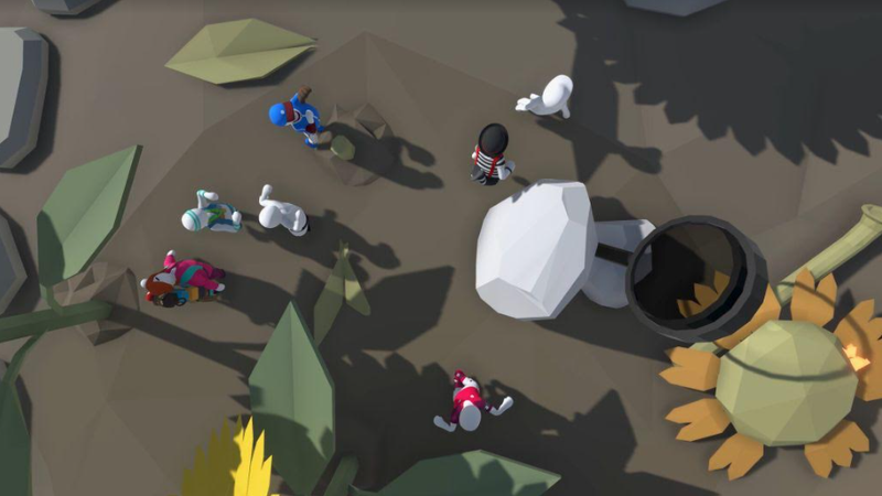 Human Fall Flat Dream Collection (PS5)